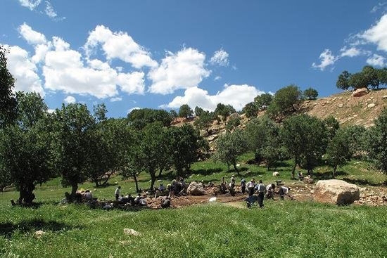 اختصاص ۳ میلیارد از جرائم رانندگی به مناطق روستایی ملارد