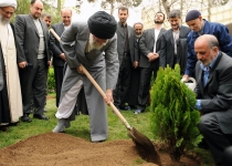 برنامه ریزی سازمان جنگل ها برای کاشت یک میلیون نهال در پایتخت