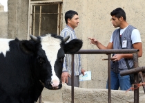 گزارش تصویری/ با ماموران آمارگیر در روزهای پایانی سرشماری پایتخت  <img src="/images/picture_icon.png" width="16" height="16" border="0" align="top">