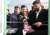 اولین گلخانه سبزی و صیفی فیروزکوه به بهره برداری رسید