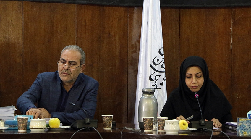 ترکی: شورای شهر تهران شهرستان های تهران را نبیند قوانینش موثر نیست
