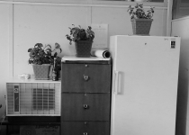 گزارش تصویری| ساختمان اداره کل بهزیستی استان تهران  <img src="/images/picture_icon.png" width="16" height="16" border="0" align="top">