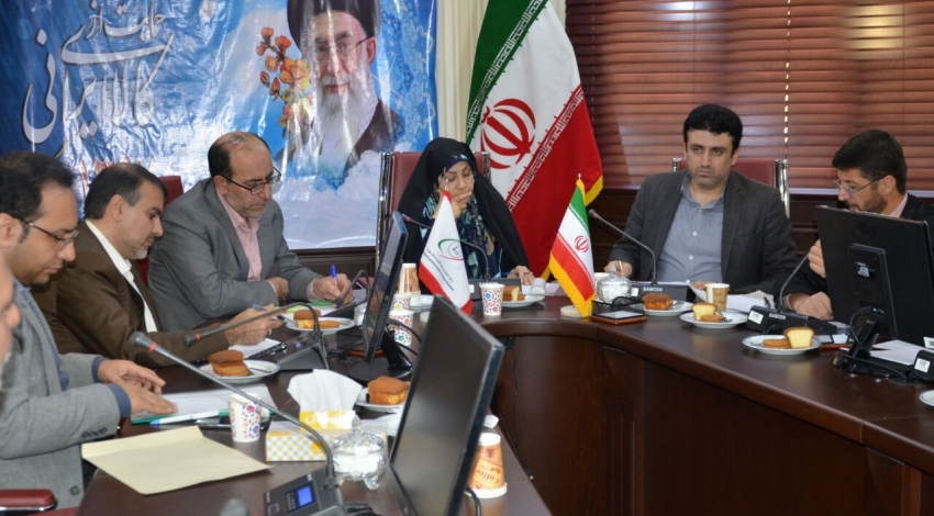 تعیین تکلیف خودروهای مازاد و اسقاطی دستگاه های دولتی استان تهران
