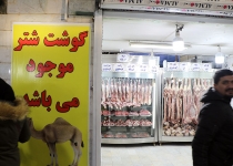 عکس| بازدید ترکی از توزیع میوه و تره بار و مرغ در میدان بهمن  <img src="/images/picture_icon.png" width="16" height="16" border="0" align="top">