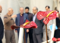 عکس| بازدید ترکی از گلخانه بزرگ کبریایی در پیشوا  <img src="/images/picture_icon.png" width="16" height="16" border="0" align="top">