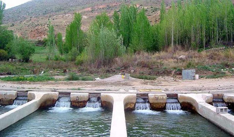 احداث ۵۸ استخر پرورش ماهیان خوراکی در استان تهران