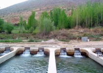 احداث ۵۸ استخر پرورش ماهیان خوراکی در استان تهران