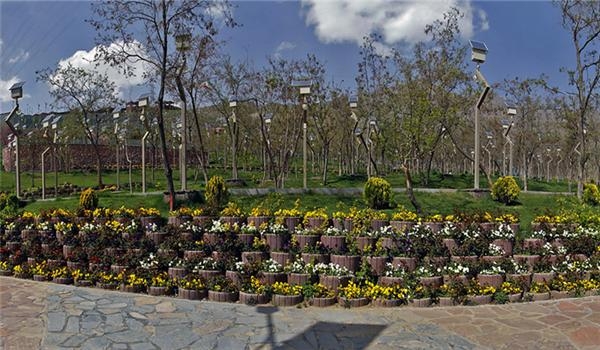 اجرای طرح عملیات جنگل کاری در ۱۶ هکتار از اراضی ملی جنوب تهران