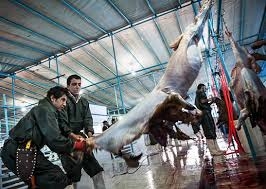 اقتصاد مقاومتی و ایجاد کشتارگاهی با ظرفیت ۳۰۰ هزار کشتاردام