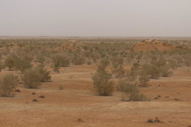 اسناد توسعه ای تهران| عملیات بیابان زدائی ۲۵۸هکتار از اراضی بیابانی 