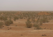 اسناد توسعه ای تهران| عملیات بیابان زدائی ۲۵۸هکتار از اراضی بیابانی 