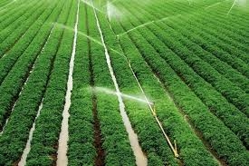 اسناد توسعه ای تهران| ۷۰۰ هکتار آبیاری کم فشار اراضی کشاورزی در ملارد
