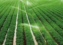 اسناد توسعه ای تهران| ۷۰۰ هکتار آبیاری کم فشار اراضی کشاورزی در ملارد