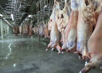 احداث خط کشتارگاه صنعتی و پیش سردخانه صنایع گوشت در استان تهران