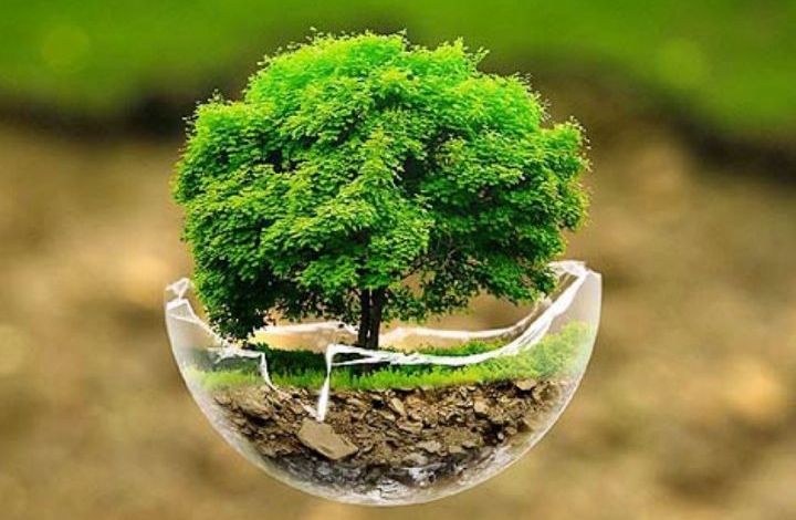 ارائه برنامه های منابع طبیعی شمیرانات در شورای برنامه ریزی استان