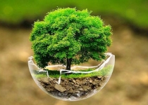 ارائه برنامه های منابع طبیعی شمیرانات در شورای برنامه ریزی استان