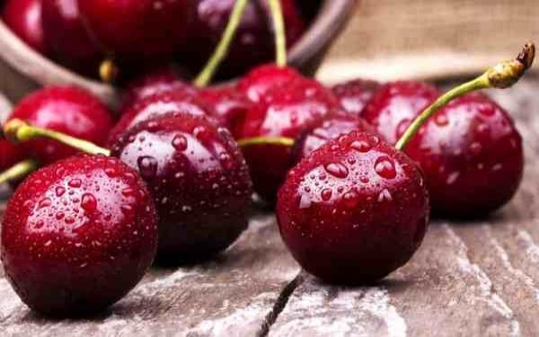 اسناد توسعه ای| تولید ۷۷ هزار تن گیلاس در استان تهران