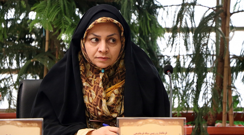 استانداری تهران خواستار افزایش تسهیلات مشاغل خانگی شد