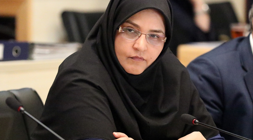 ۵۳۰۰ شغل از طریق تسهیلات مشاغل خانگی در استان تهران ایجاد شده است