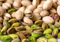 ۶ هزار هکتار از اراضی استان تهران زیر کشت پسته است