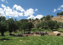 اسناد توسعه ای تهران| صدور ۶۵ پرونده ایجاد تاسیسات گردشگری در تهران