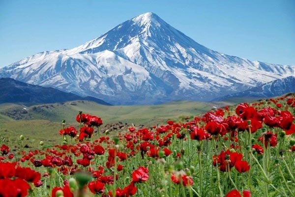 اسناد توسعه ای تهران| افتتاح ۵۷ پروژه با ۲۵ میلیارد اعتبار در دماوند
