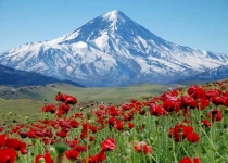 اسناد توسعه ای تهران| افتتاح ۵۷ پروژه با ۲۵ میلیارد اعتبار در دماوند