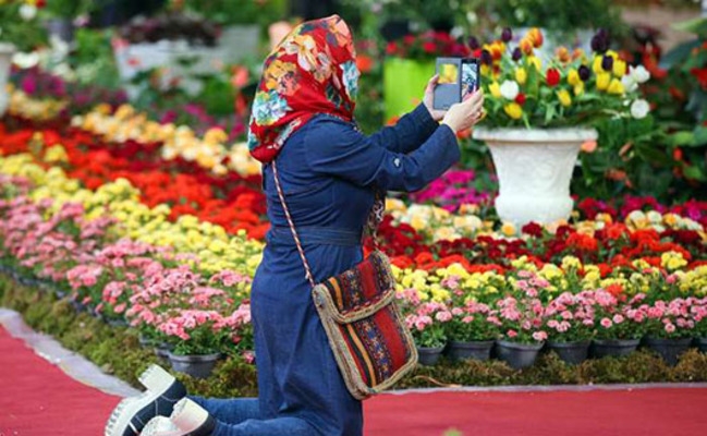 اسناد توسعه ای تهران| معرفی ۴۸ کشاورز برتر تهرانی در سال رونق تولید