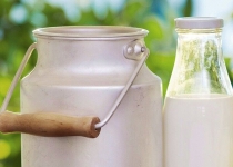 اسناد توسعه ای تهران| خط تولید MPC در صنایع شیر راه اندازی شد