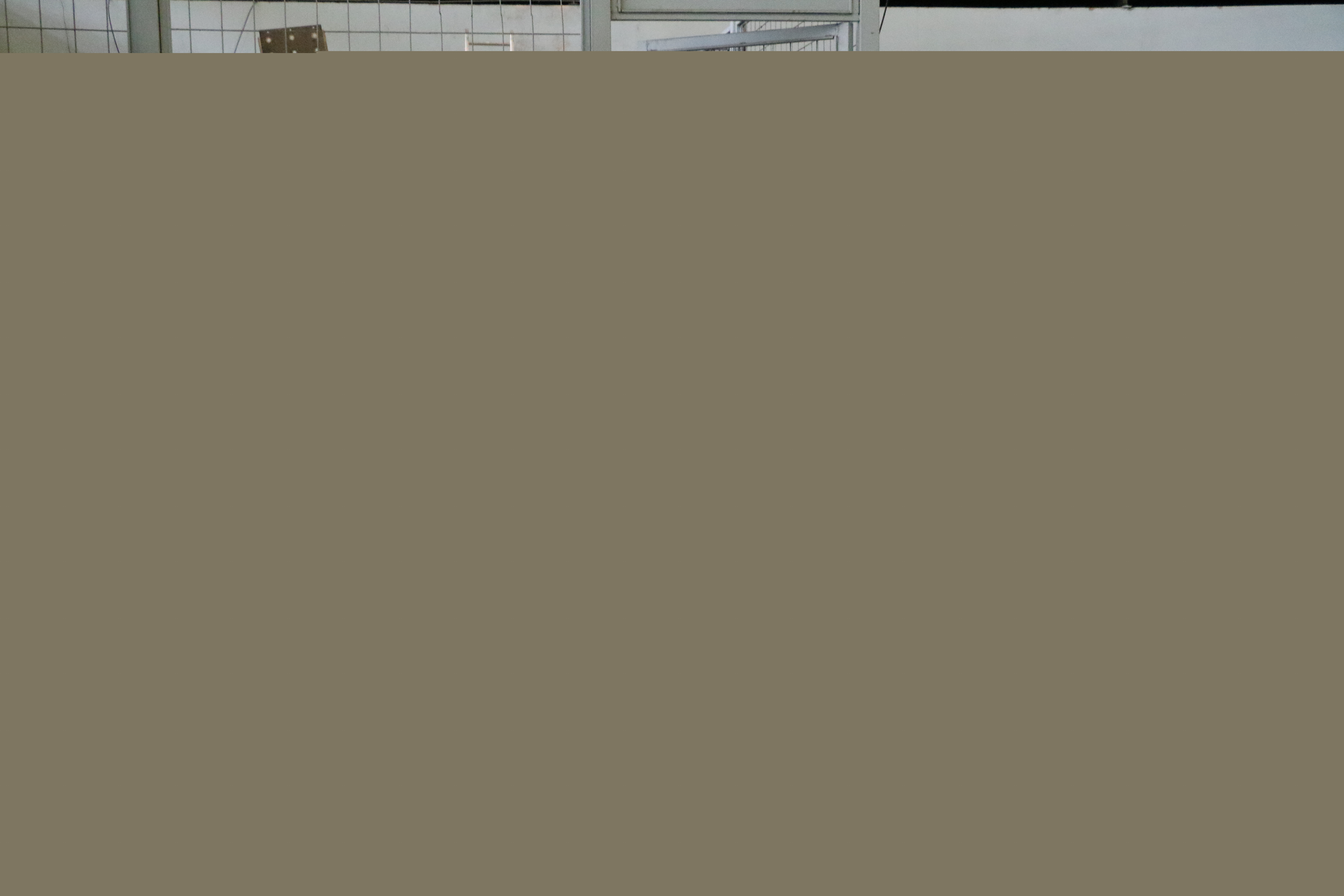 3k1a4437.jpg)