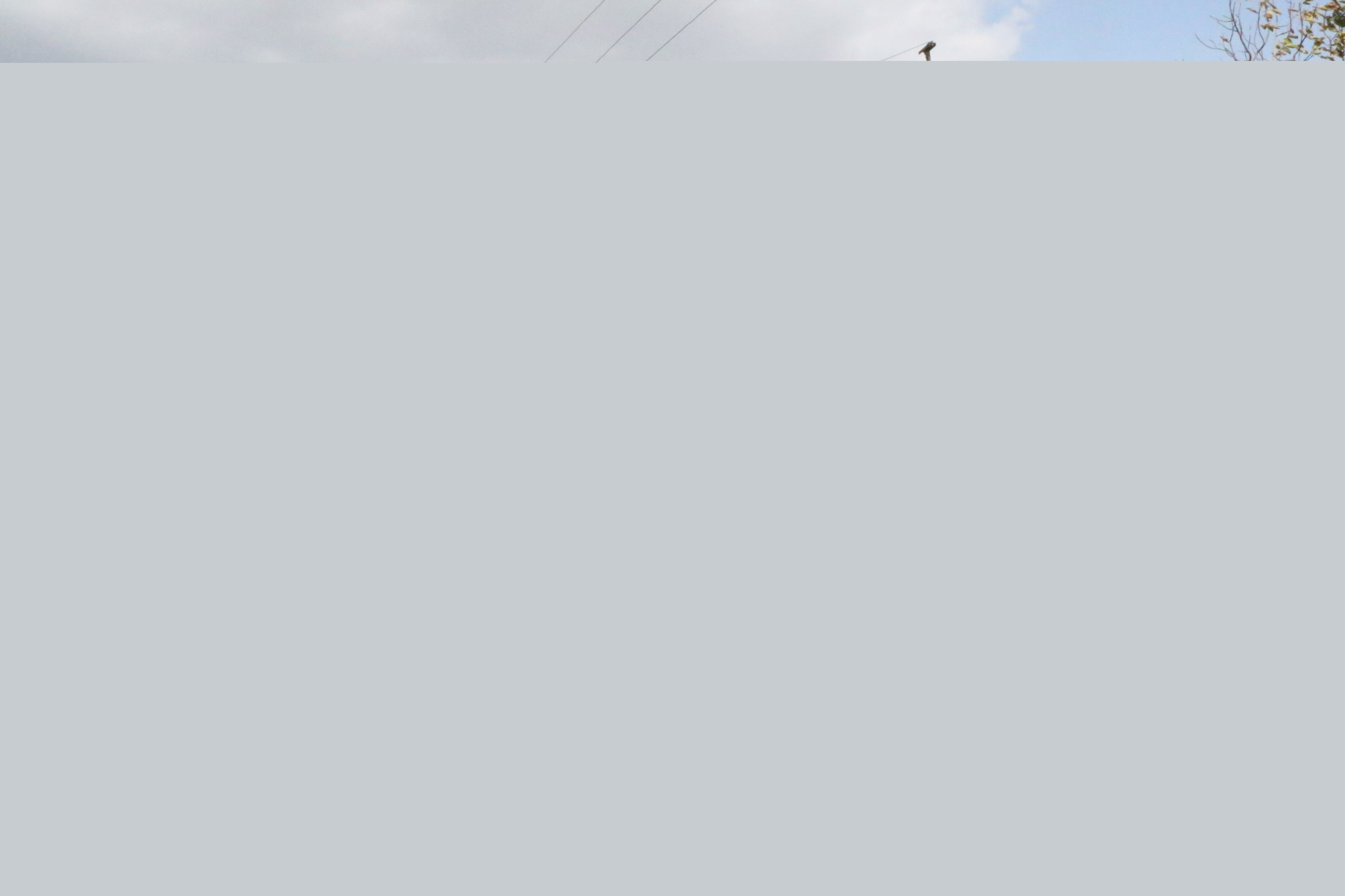 3k1a9082.jpg)