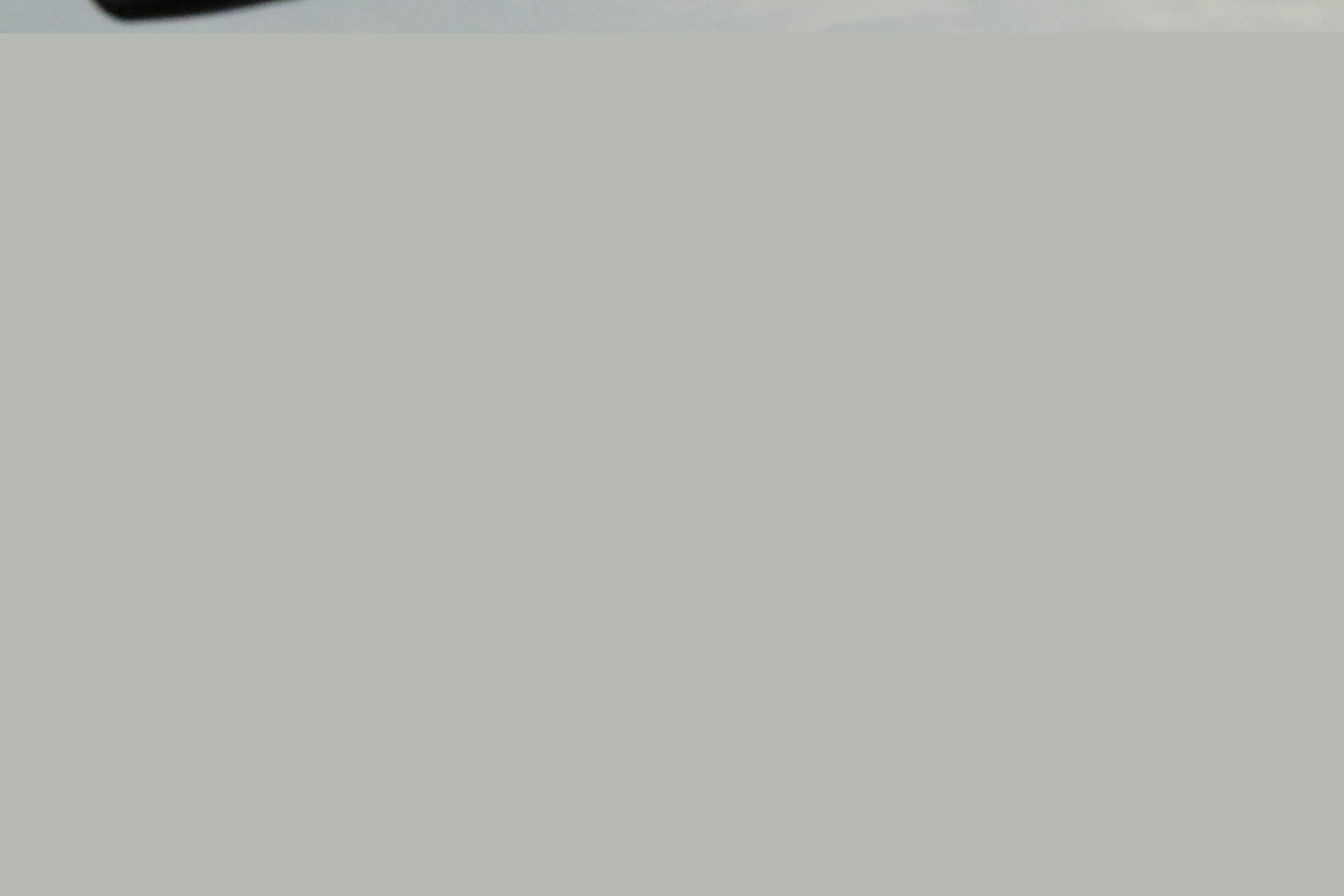 3k1a8976.jpg)