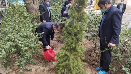 گزارش تصویری: کاشت دو نهال به مناسبت روز درختکاری توسط مسعود شفیعی
