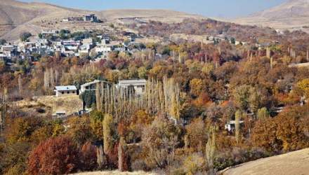 عکس تزئینی است