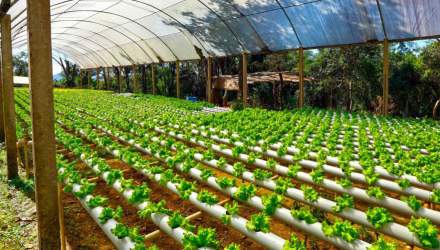 اصلاح الگوی کشت گلخانه‎ای با کاهش مصرف آب و انرژی با استفاده از سیستم زمین گرمایی